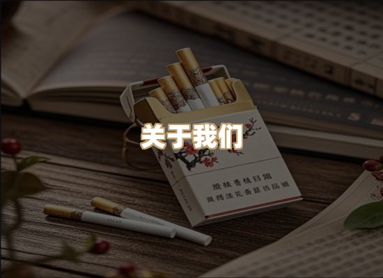 关于紫菊潮烟网